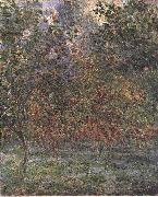 Claude Monet The Lemon Grove in Bordighera oil painting on canvas